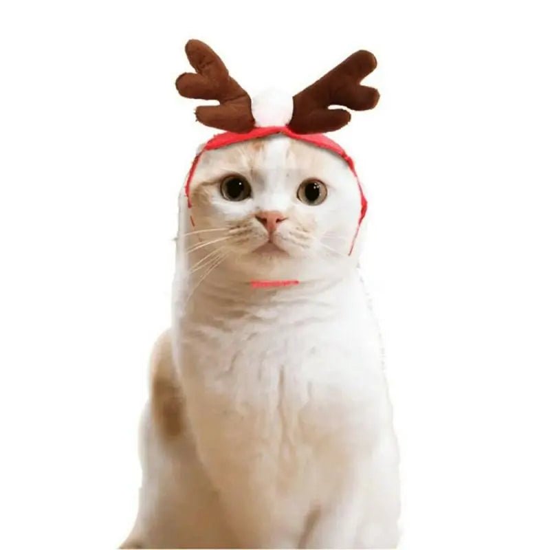 Pet Christmas Clothes - SensorySoftShop