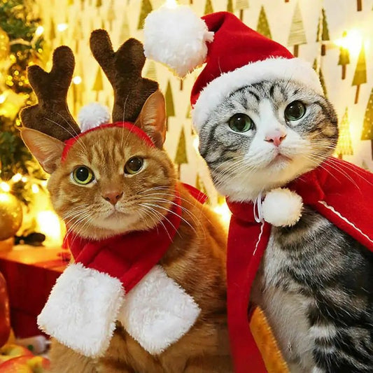 Pet Christmas Clothes - SensorySoftShop