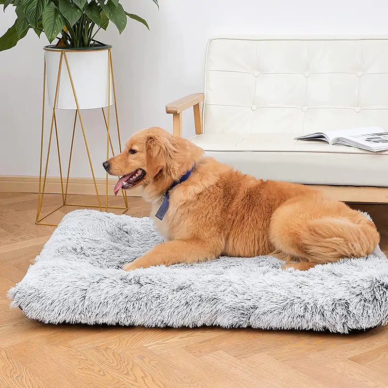 Plush Washable Dog Bed - SensorySoftShop