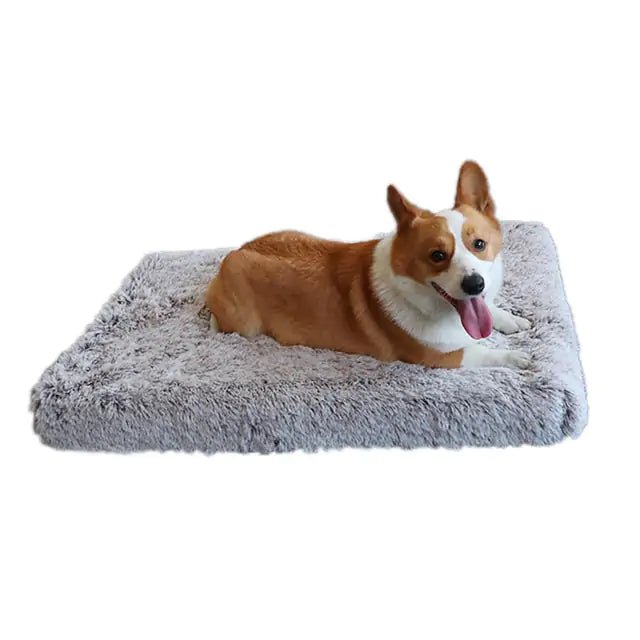 Plush Washable Dog Bed - SensorySoftShop