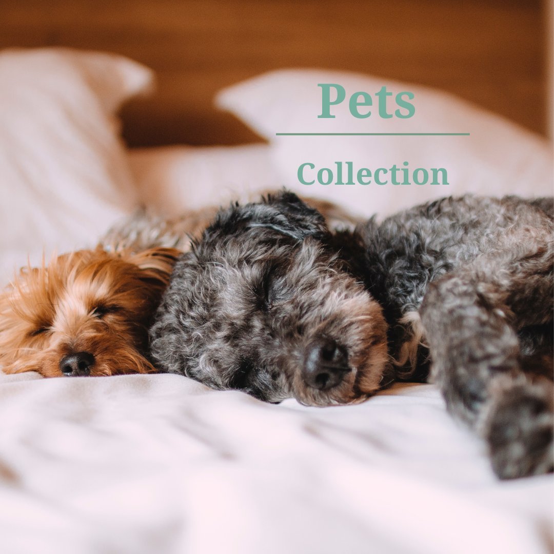 Pets Collection - SensorySoft