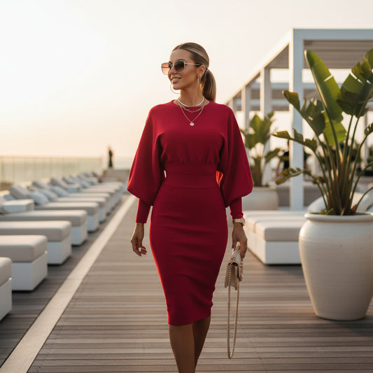 Sophisticated Long Sleeve Dresses