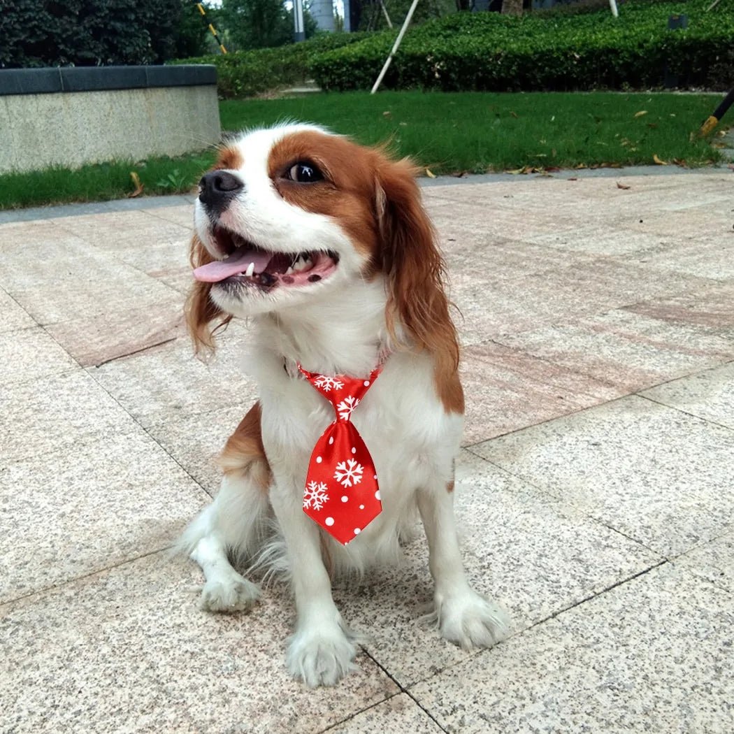 Christmas Dog Necktie - SensorySoftShop