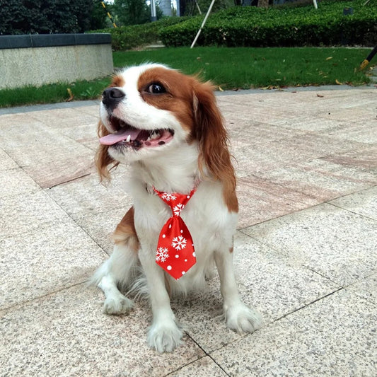 Christmas Dog Necktie - SensorySoftShop