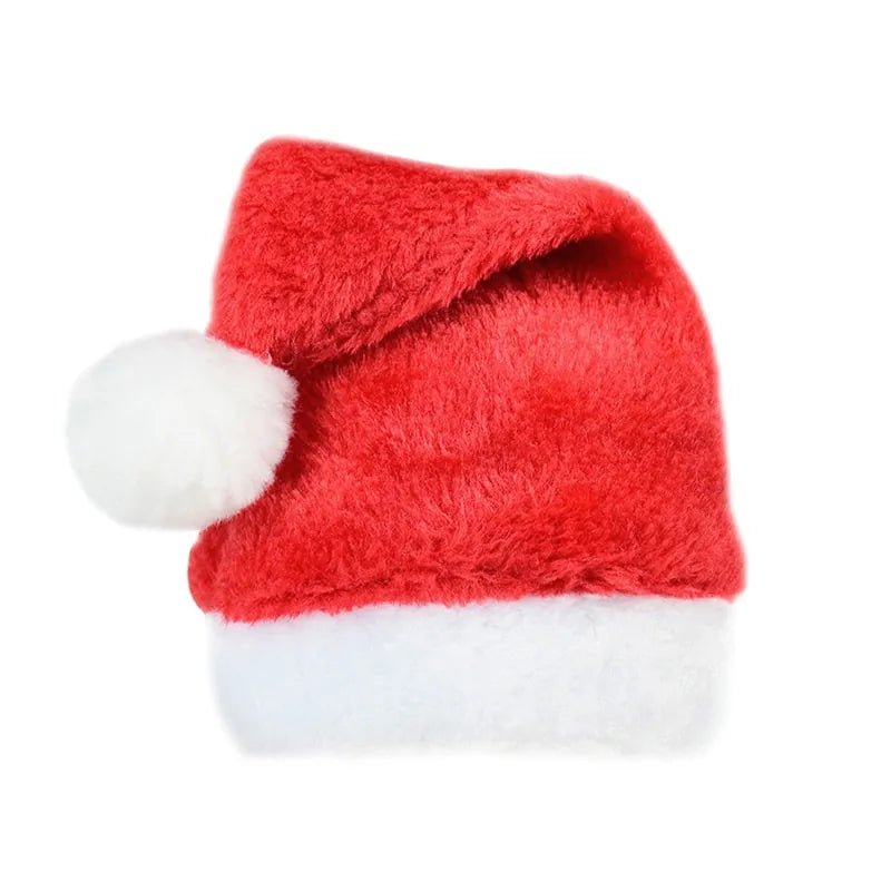 Christmas Pet Santa Hat - SensorySoftShop