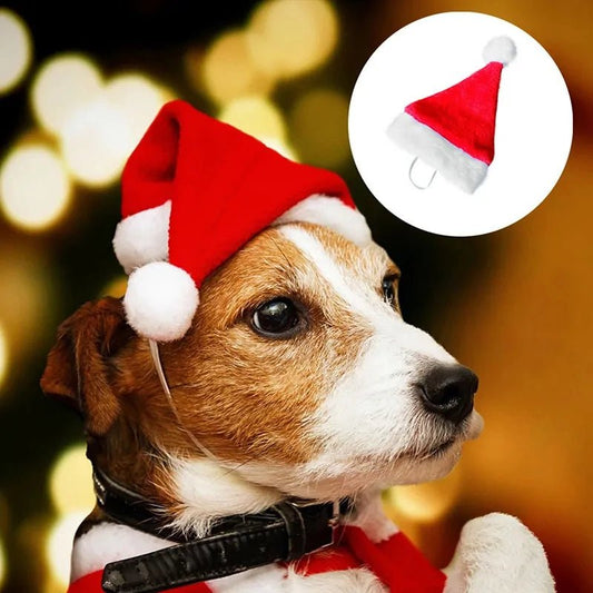 Christmas Pet Santa Hat - SensorySoftShop