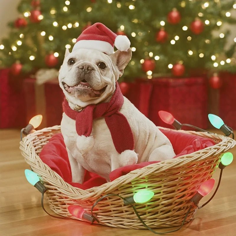 Christmas Pet Santa Hat - SensorySoftShop