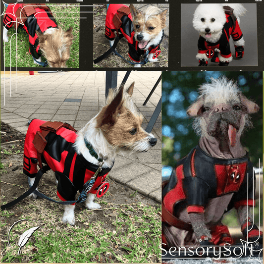 Doggy Deadpool Costume – Unleash the Superhero Within! - SensorySoft